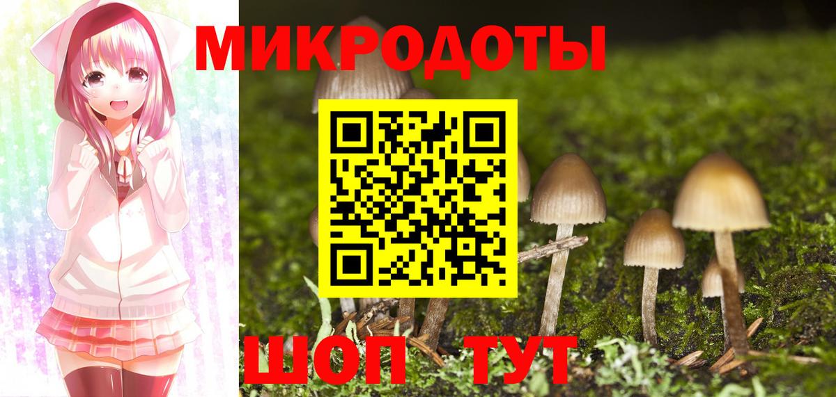 Мирный  Псилоцибиновые грибы GOLDEN TEACHER  где купить наркоту  Вход с VPN  Галлюциногенные грибы MAGIC MUSHROOMS 