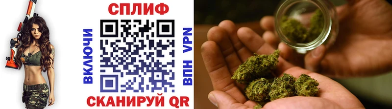Бошки Шишки MAZAR  Мирный 